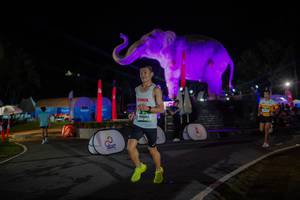 BIB: 
                            <button type="button" onclick="openModal(26552120)" class="btn btn-primary btn-sm float-right btn-popup" data-toggle="modal" data-target=".modal-high-quality">
                        <i class="fas fa-shopping-cart"></i> Add to Cart
                    </button>
                                            <button type="button" onclick="isThisMe(26552120, true)" class="btn btn-success btn-sm float-right btn-popup btn-isme hidden" data-toggle="tooltip" data-placement="bottom" title="นี่คือรูปของคุณใช่ไหม คลิกที่นี่เพื่อเอาเข้าอัลบั้ม">
                        <i class="fas fa-plus"></i> Add to album
                    </button>
                    <button type="button" onclick="isThisMe(26552120, false)" class="btn btn-warning btn-sm float-right btn-popup btn-isnotme hidden">
                        <i class="fas fa-ban"></i> Remove from album
                    </button>